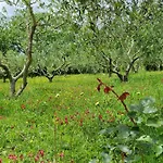 Podere Colombaio - Bucaneve * Radicofani