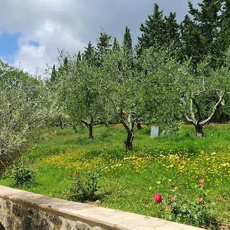 Διαμέρισμα Podere Colombaio - Bucaneve
